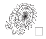 03019d7t-51f0-201x170.png