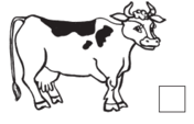 03019d7v-f17e-248x159.png