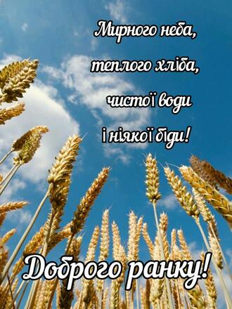 03019fk9-7cf0-330x440.jpg