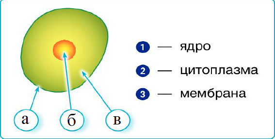 03019god-db12-567x287.png