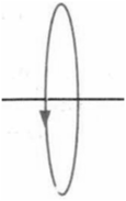 03019hss-e4b8-115x183.png