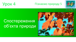Спостереження  об’єкта природи. "Пізнаємо природу" (авт. Коршевнюк Т.В.)
