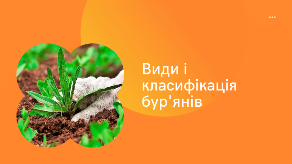 03019lkt-3826-940x529.png