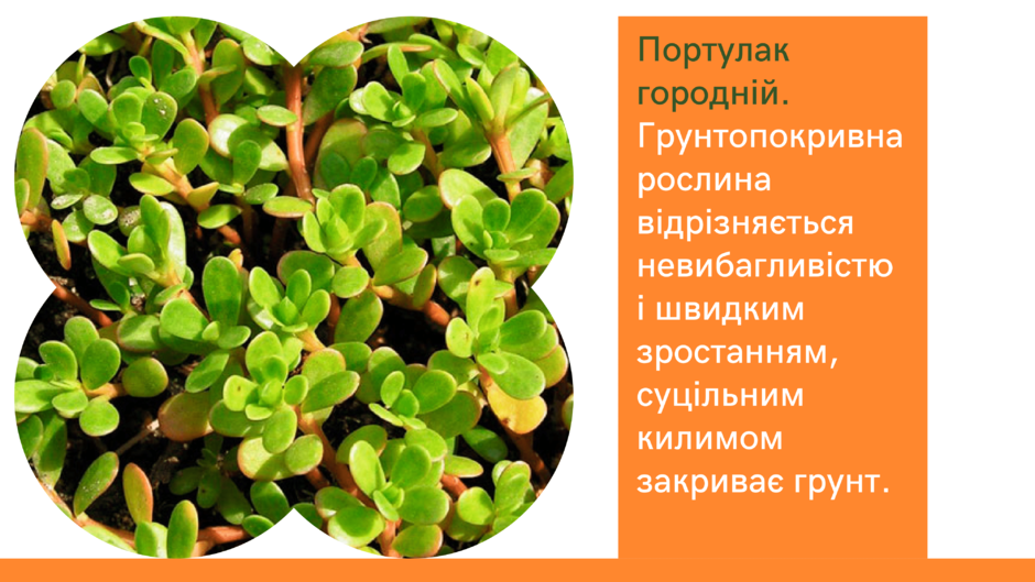 03019ll2-ef2d-940x529.png