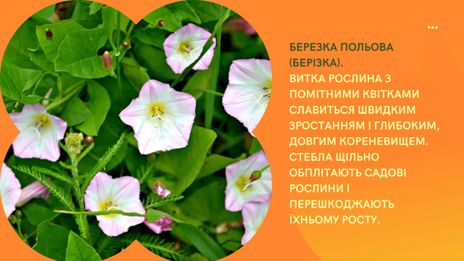 03019ll4-2389-940x529.png