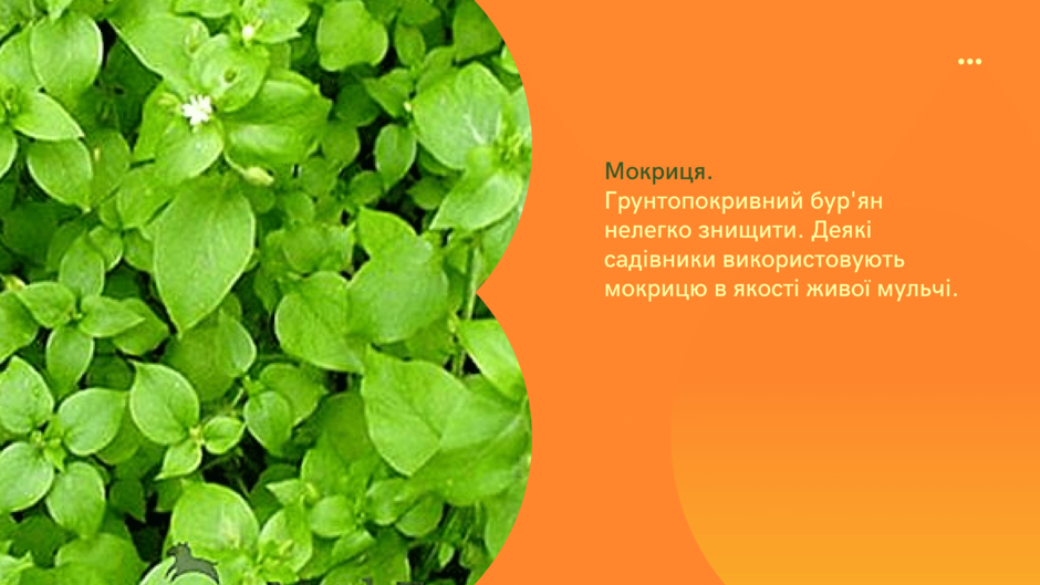 03019ll5-5bf0-940x529.png