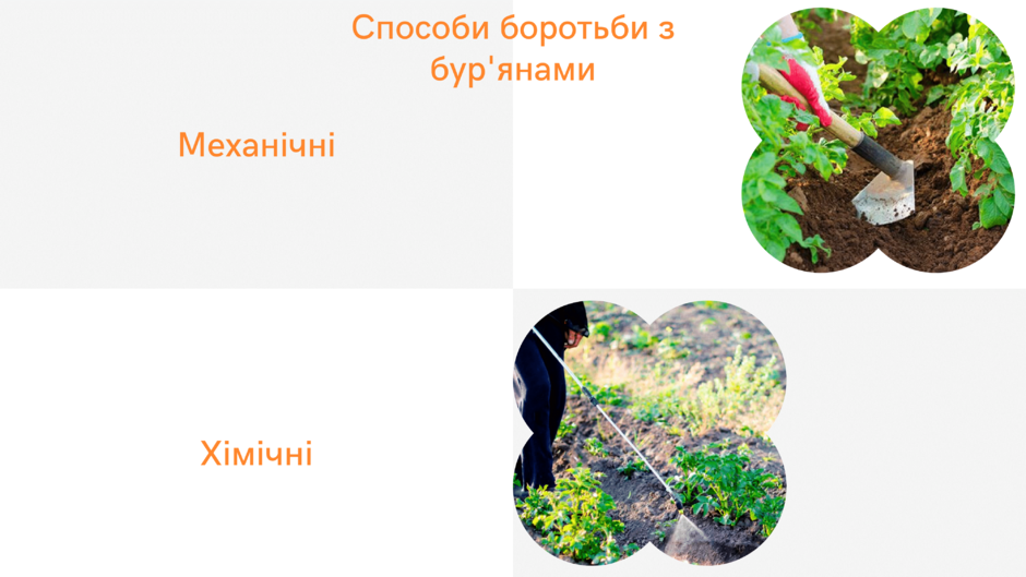 03019llc-1087-940x529.png