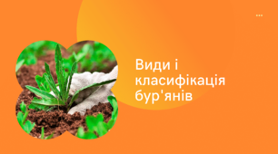 Бур'яни