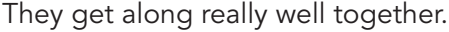 03019qyk-b3c3-449x32.png