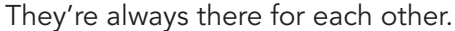 03019qyx-ff9b-455x31.png