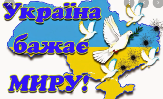 03019rl0-b380-337x204.png