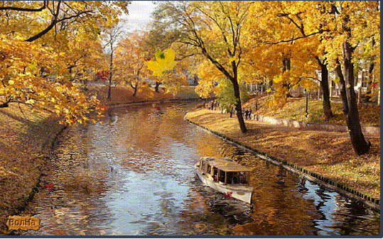 03019sv8-cc53-539x337.png