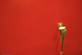 03019zc0-c6da-339x227.png