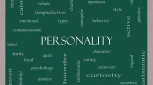 What affects our personality 10 grade (15.09)