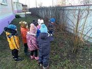 Спостереження за живою природою в днз Природою в
