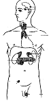 0301a3kl-064a-78x159.png