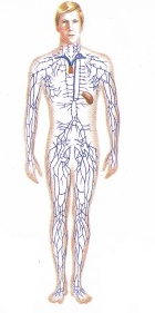 0301a3l9-e1c6-140x281.png