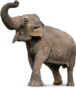 0301ach3-59b9-76x88.png
