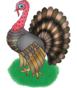0301af9e-c28e-152x175.png