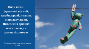 Види плям. Виведення дрібних плям з одягу в домашніх умовах. Соціально-побутове орієнтування 9 клас (СПО)