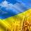 Дмитрук Вадим Миколайович