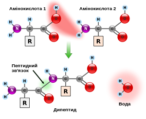 0301ai9n-02a6-300x246.png