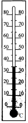 0301aily-653c-100x428.png