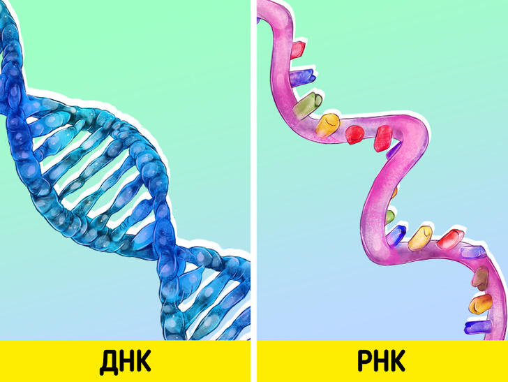 0301ak7o-5489-728x547.jpg