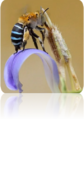 0301akix-c783-84x187.png