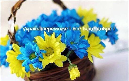 Україна переможе і все буде добре | Ukraine, Cover photos, Beautiful dolls