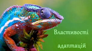 11 клас. Тестування з теми "Властивості адаптацій та закономірності їх формування"_ 2 варіант