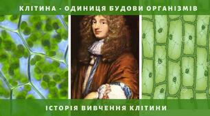 Клітина- одиниця живого.Істрорія вивчення клітини