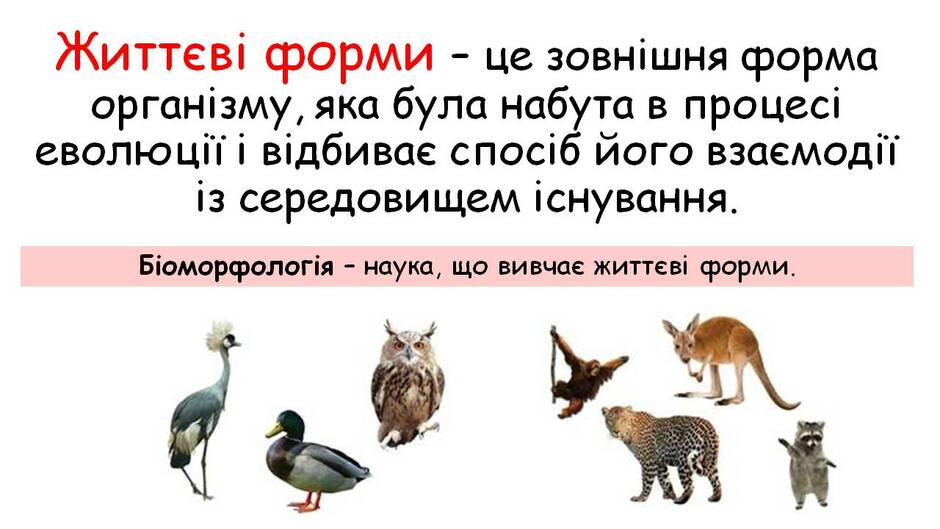 0301aoos-1244-940x529.jpg