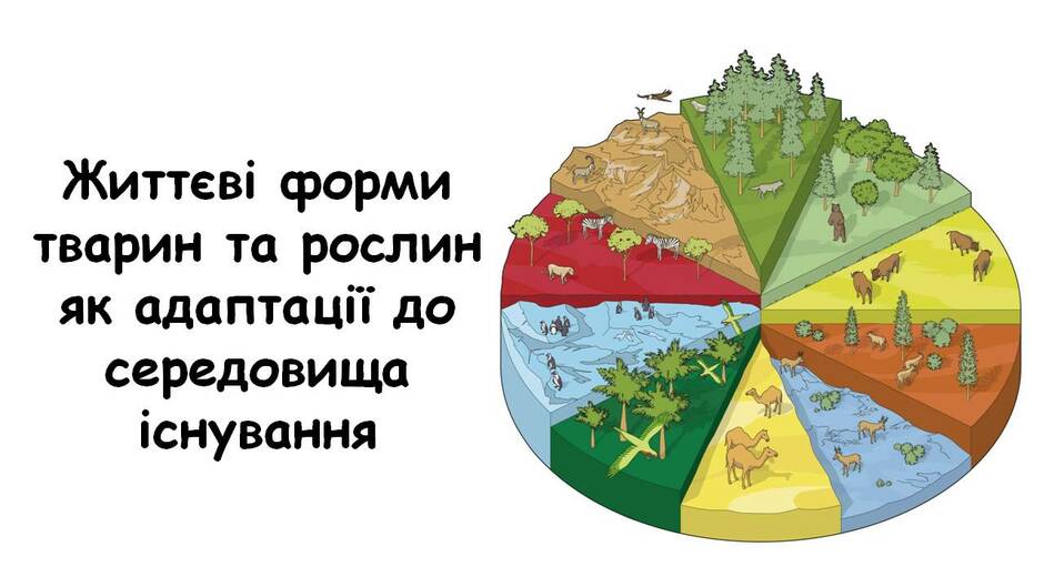 0301aoou-2b7f-940x529.jpg