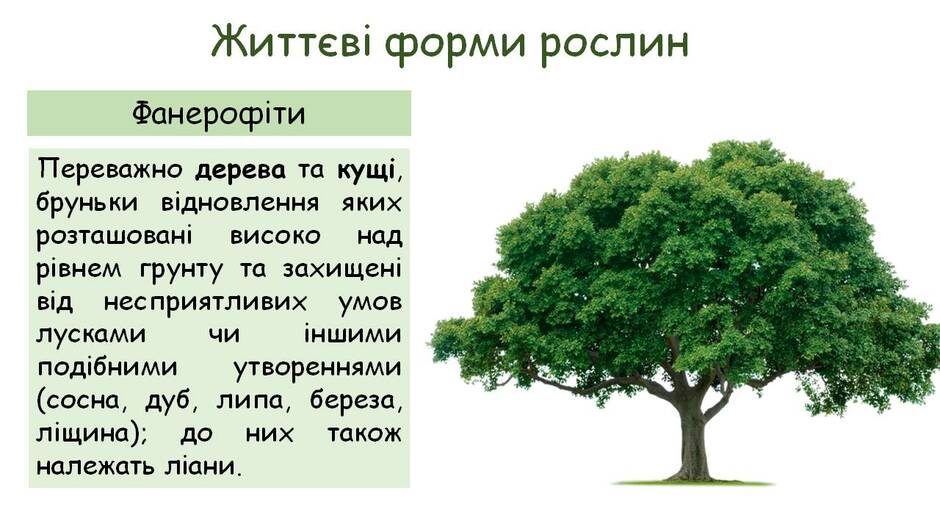 0301aoox-a374-940x529.jpg