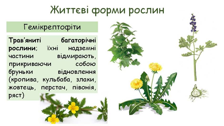 0301aooy-5f0e-940x529.jpg