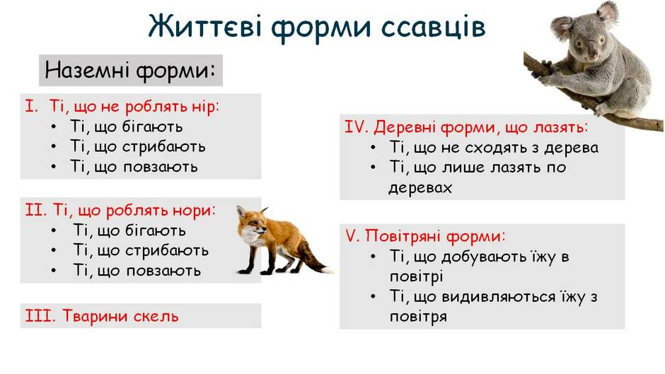 0301aop0-e90a-940x529.jpg