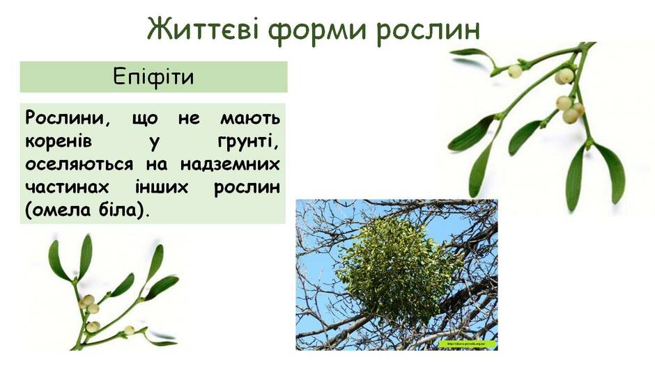 0301aop6-7b05-940x529.jpg