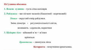 Опорний конспект на тему "Сенсорна система зору"