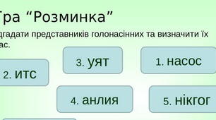Презентація гра “Розминка” по темі "Голонасінні рослини"