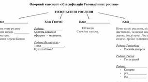 Опорний конспект "Різноманітність голонасінних"