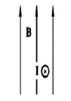 0301ax0n-6ad1-145x207.png