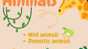 Speaking cards "Animals" ✅