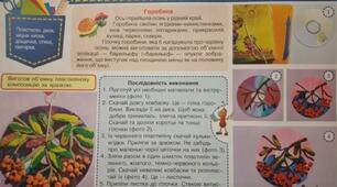 Конспект-конструктор уроку з дизайну і технологій 3 клас НУШ (Савченко) " Гілка горобини "