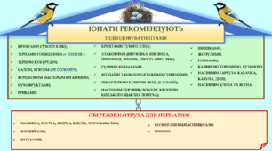 Пам'ятка до заняття  "Підгодовування птахів"