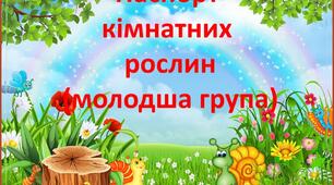 Презентація "Паспорт кімнатних рослин" (молодша група)
