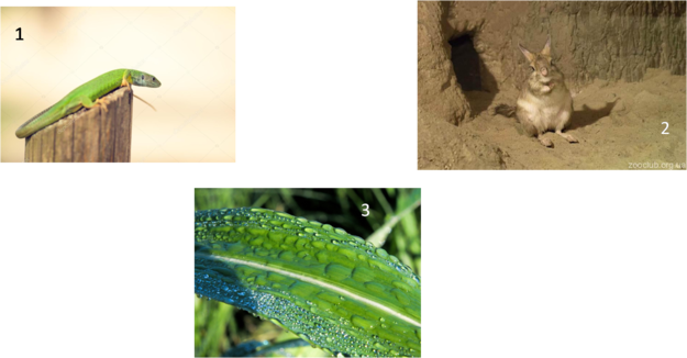 0301b8tu-cca7-625x326.png