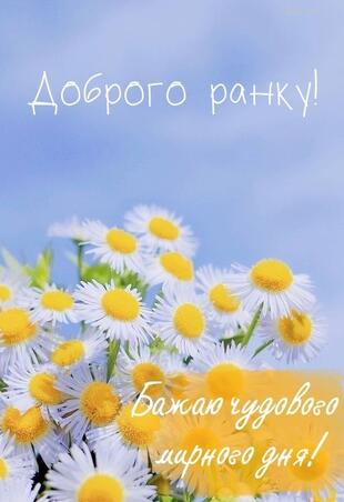 0301b9ps-1d6a-310x452.jpg