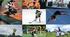 Karpyuk 10 Sports  Activities