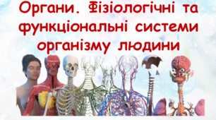 Органи та фізіологічні системи організму людини